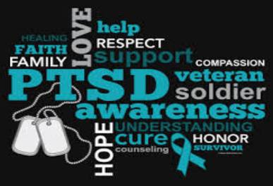 Image result for VETERANS PTSD SURVIVAL STORIES