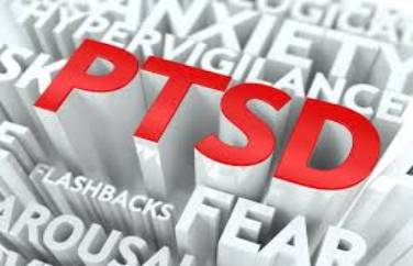 Image result for VETERANS PTSD SURVIVAL STORIES