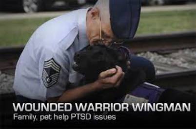Image result for VETERANS PTSD SURVIVAL STORIES