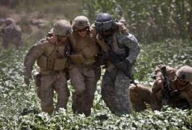 Image result for VETERANS PTSD SURVIVAL STORIES