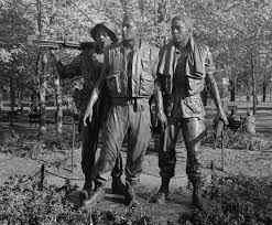 Description: Image result for VIETNAM veterans ptsd